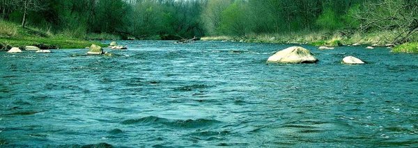 Profitez du camping 5 étoiles Ile de Ré et prenez du plaisir